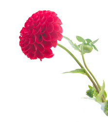 Similar image 8448972