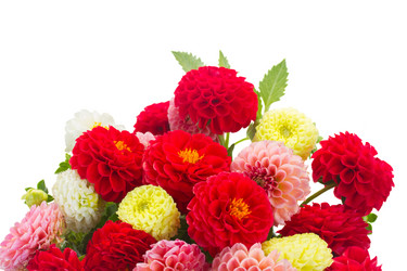 Similar image 8448976