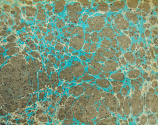 Similar image 8449040