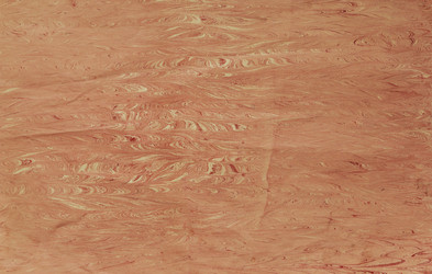 Similar image 8449062