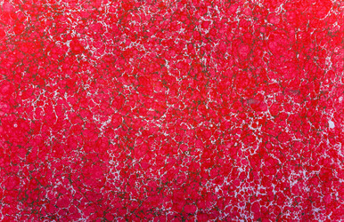 Similar image 8449077