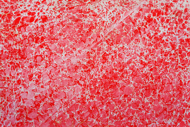 Similar image 8449080