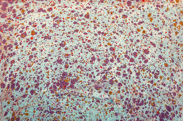 Similar image 8449105