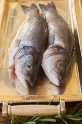 Similar image 8449128