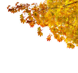 Similar image 8449137