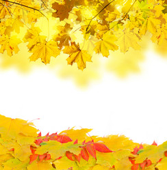 Similar image 8449152