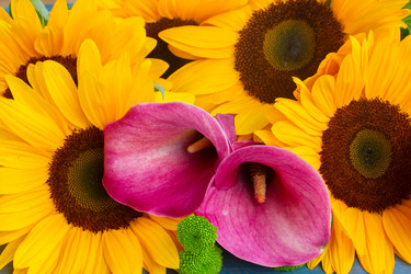 Similar image 8449165