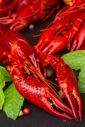 Similar image 8449173