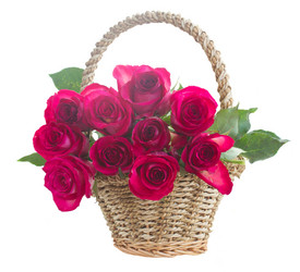 Similar image 8449178