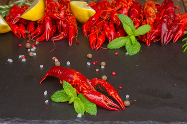 Similar image 8449181