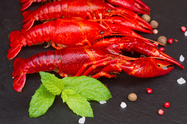 Similar image 8449182