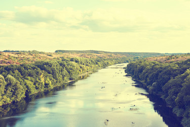 Similar image 8449283