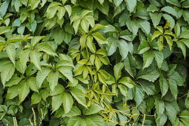 Similar image 8449366