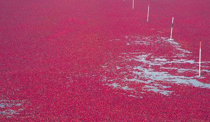 Similar image 8450121