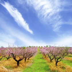 Similar image 8450461