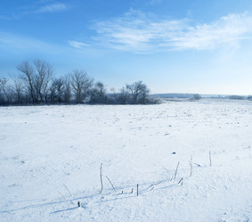 Similar image 8450466