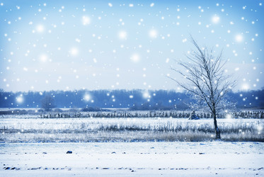 Similar image 8450470