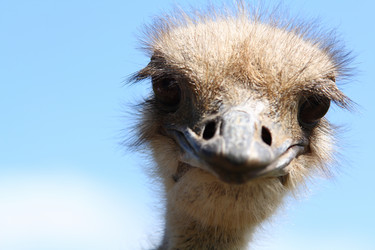 Similar image 8451537