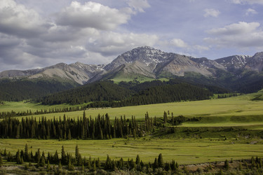 Similar image 8451538