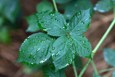 Similar image 8451541