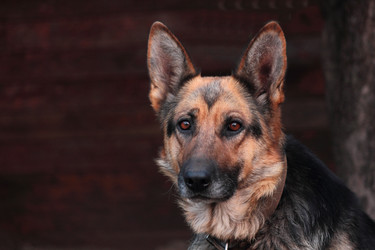 Similar image 8451546