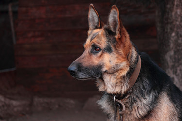 Similar image 8451547