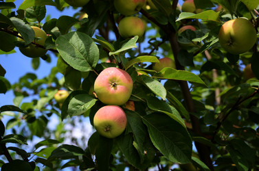 Similar image 8451555