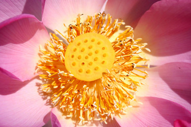 Similar image 8451633