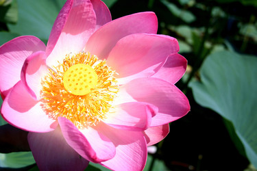 Similar image 8451635