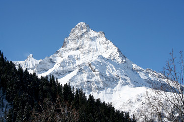 Similar image 8451636