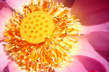 Similar image 8451637