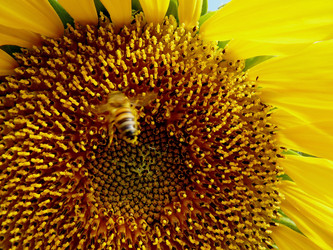 Similar image 8451642