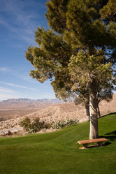 Similar image 8451653