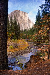 Similar image 8451663