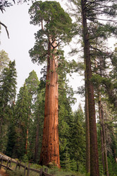 Similar image 8451676