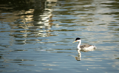 Similar image 8451861