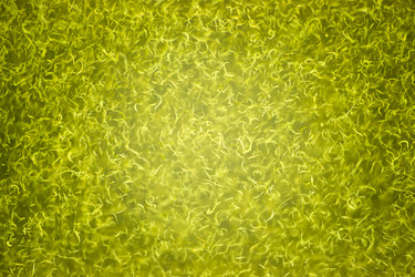 Similar image 8451862