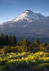 Similar image 8451873