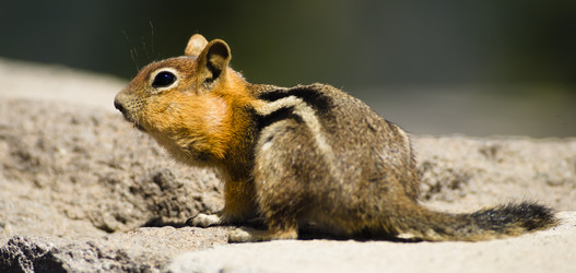 Similar image 8452050