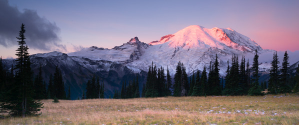 Similar image 8452131