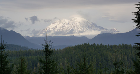 Similar image 8452137