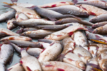 Similar image 8452380