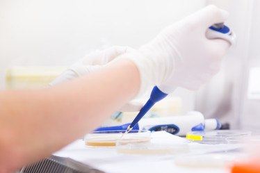 Similar image 8452450