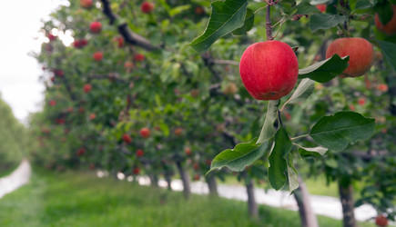 Similar image 8452499