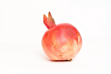 Similar image 8452647