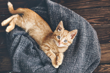 Similar image 8453108