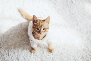 Similar image 8453110