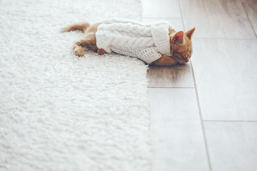 Similar image 8453121