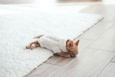 Similar image 8453122