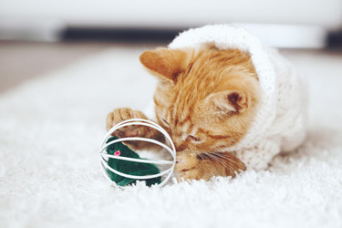 Similar image 8453127